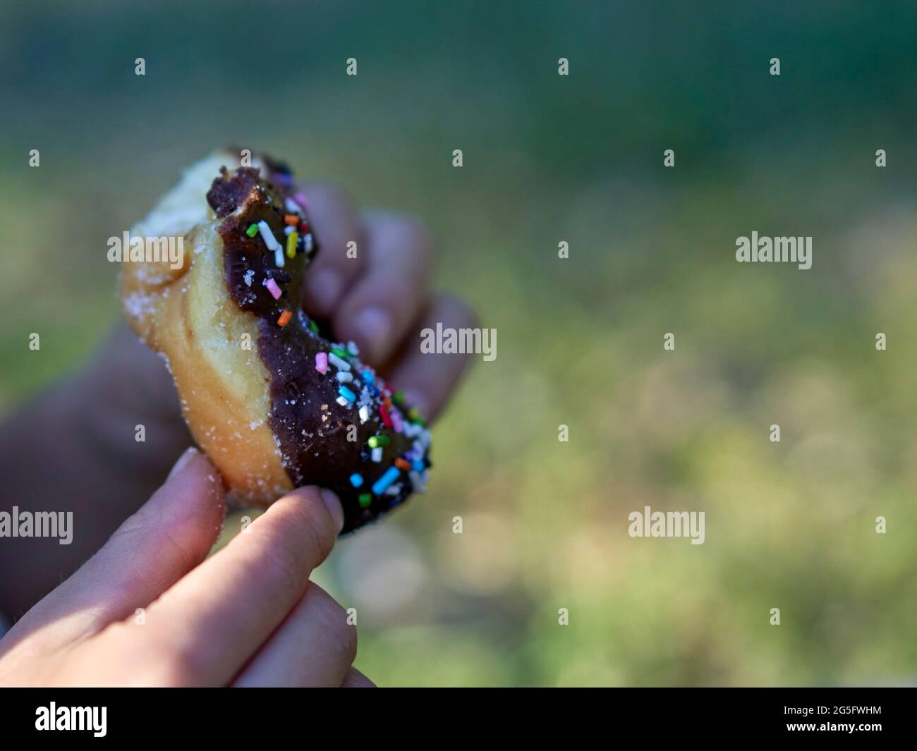 Las manos del niño sostienen un donut mordido con recubrimiento de chocolate en el parque, un foco selectivo horizontal de donut Foto de stock