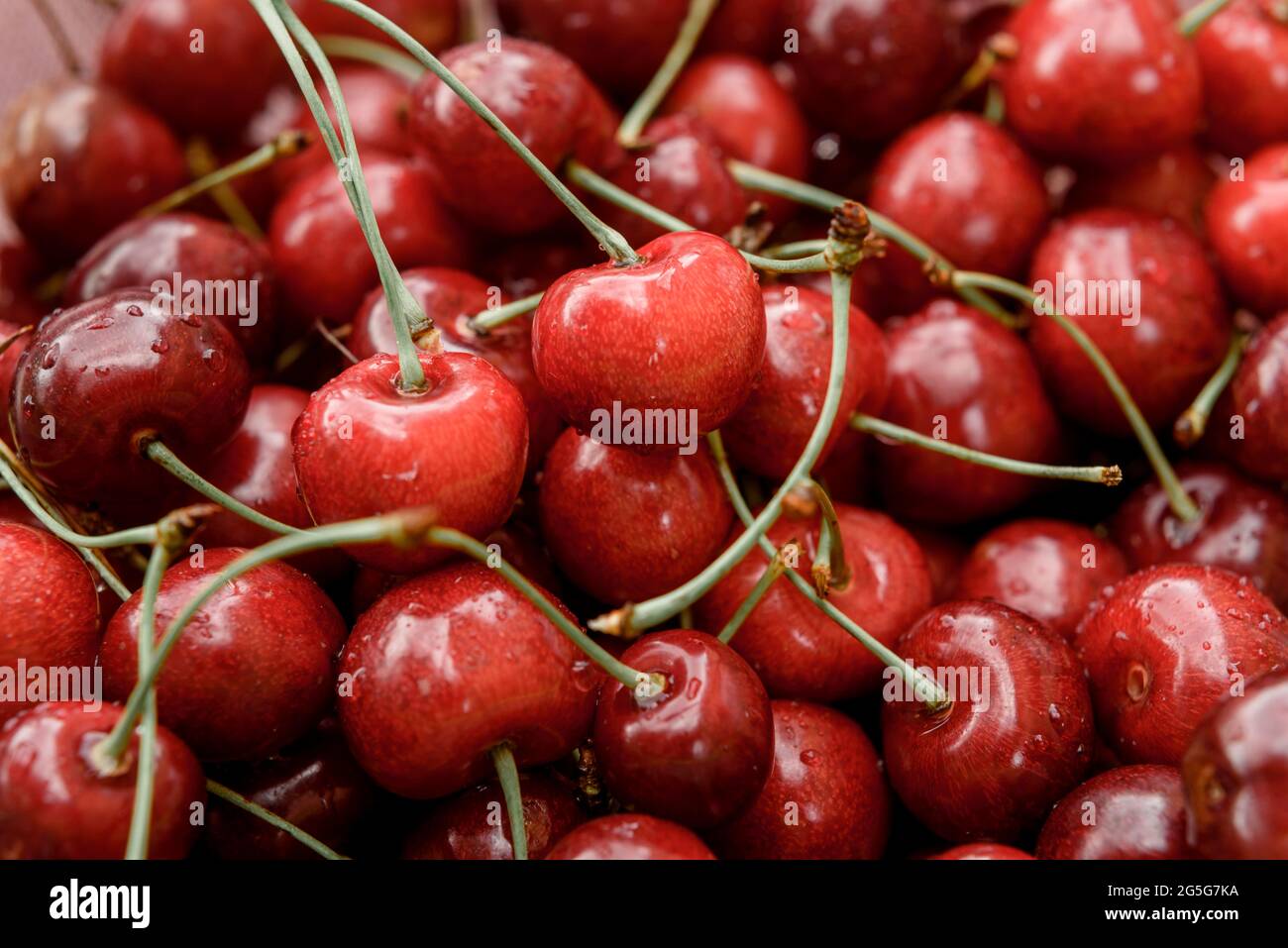Cereza dulce madura de primer plano, frutas de verano con alto contenido de vitaminas y antioxidantes Foto de stock
