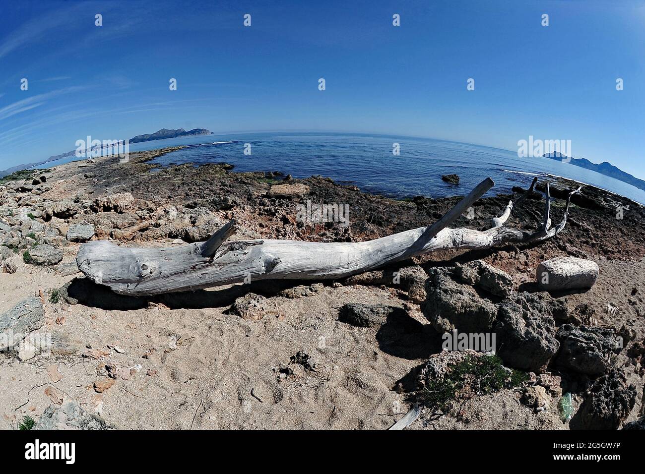 Tronco d'albero abbandonato sulla spiaggia della necropoli di Son Real a Mallorca fotografato con un obiettivo fisheye Foto de stock