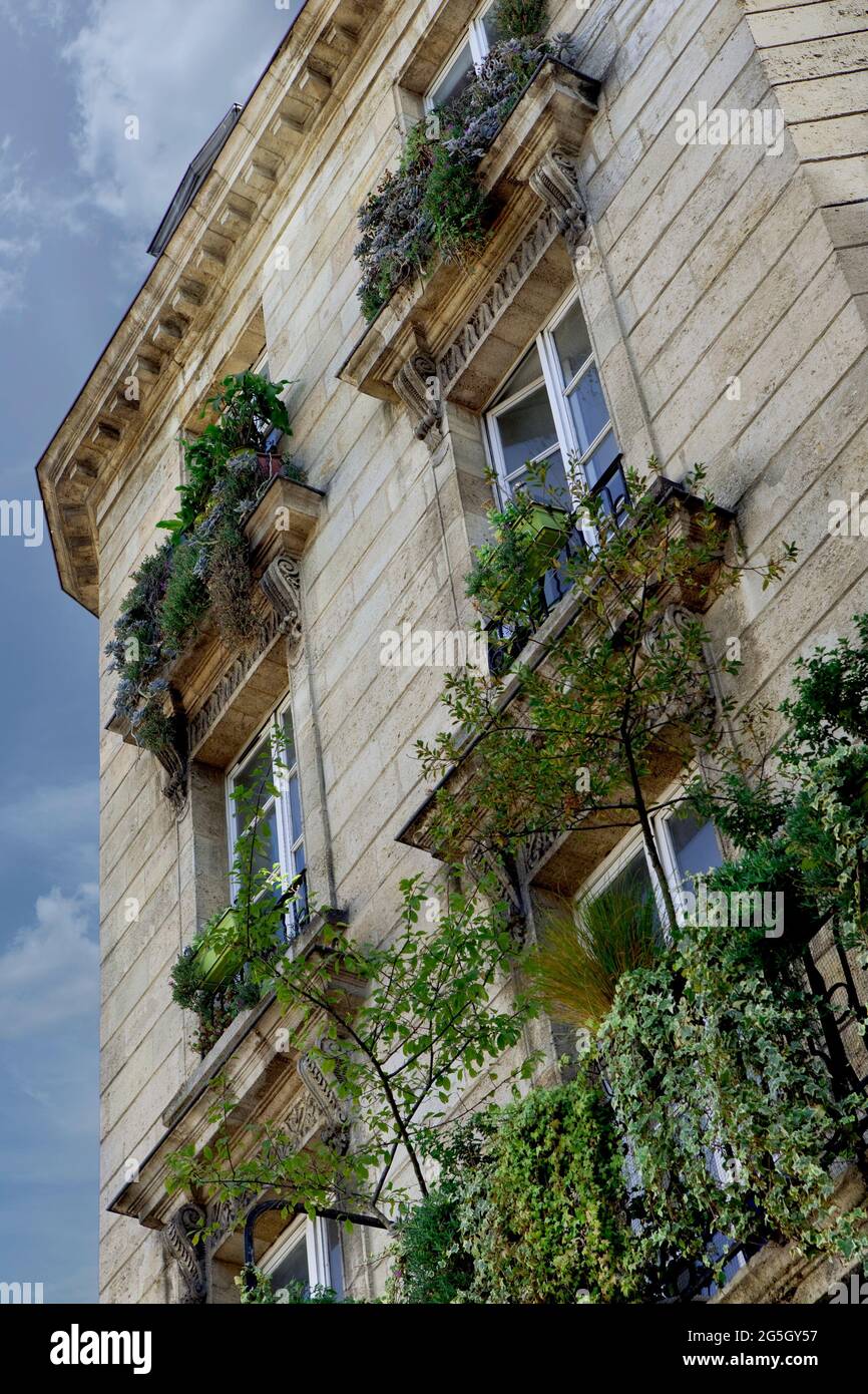 Fachada verde en un edificio de estilo en Burdeos, Francia Foto de stock