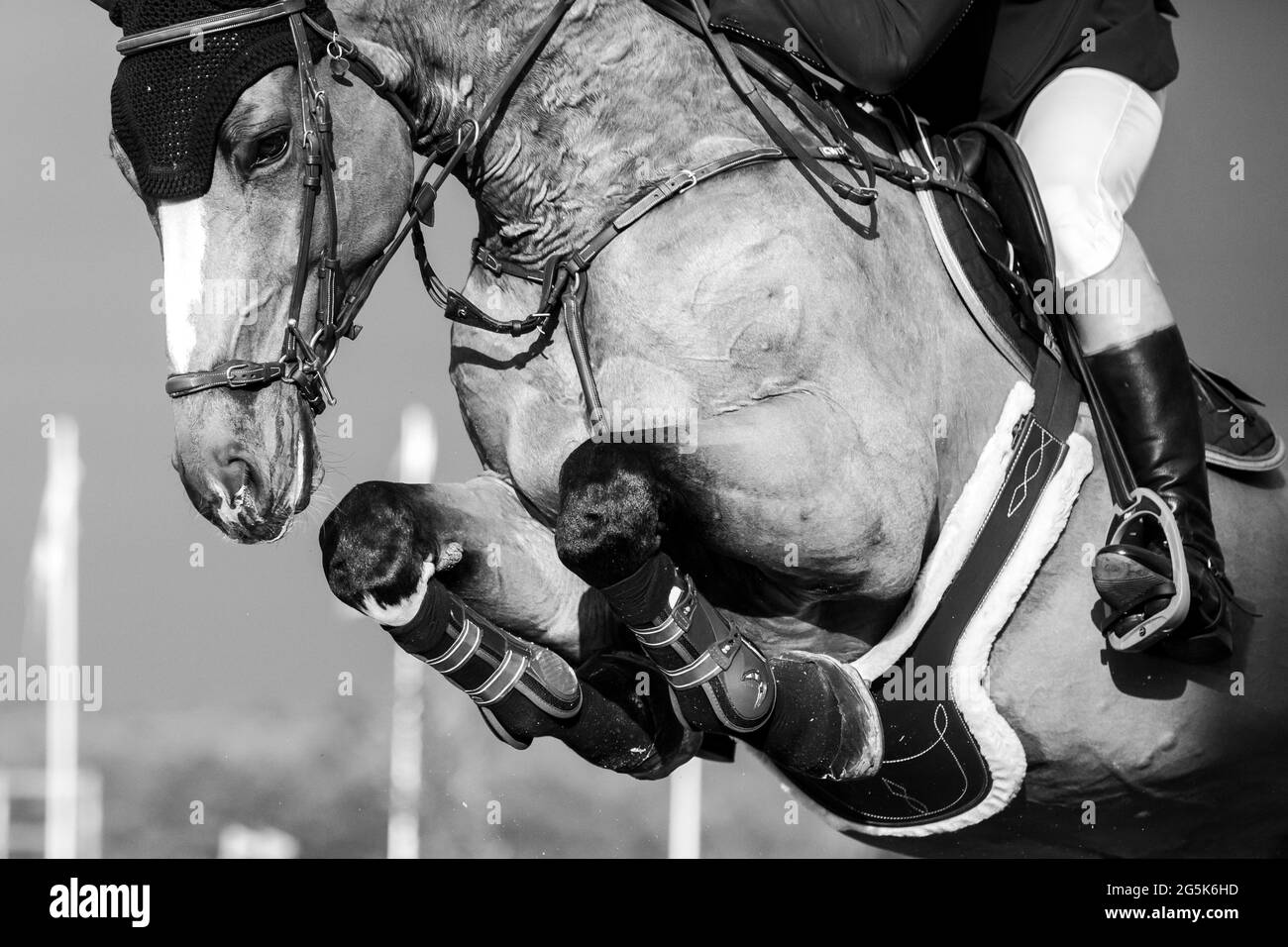 Blanco y negro Deportes ecuestres foto-tema: Salto de caballo, Show Jumping, Equitación. Foto de stock