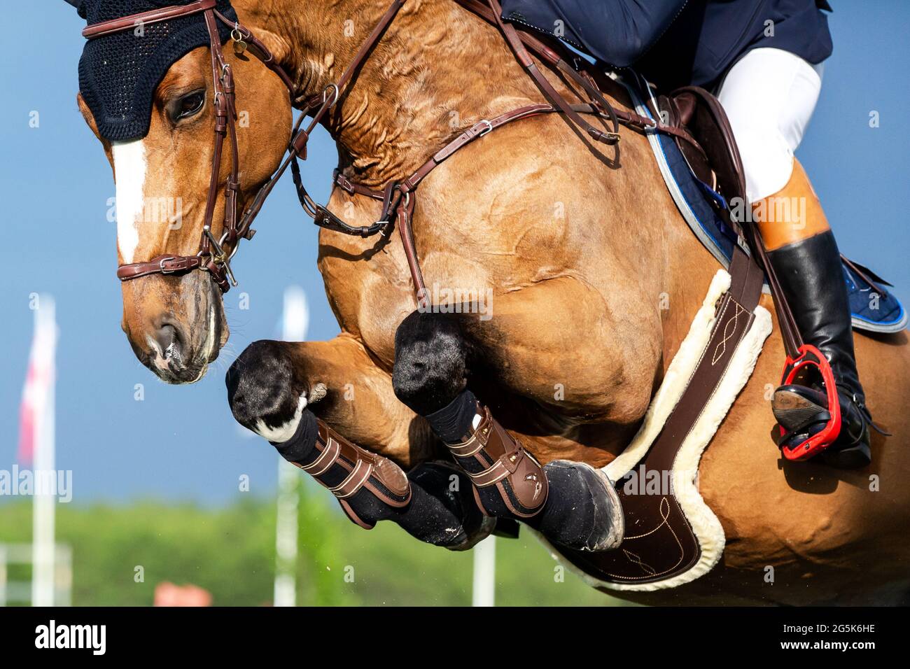 🏆 Mejores botas de montar a caballo 2024 - Mundo Deportivo