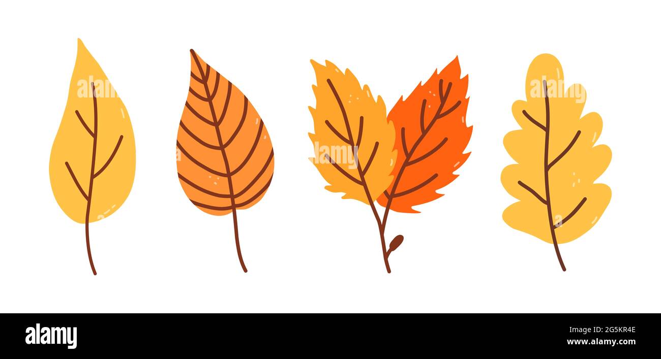Conjunto de hojas amarillas y naranjas de otoño aisladas sobre fondo  blanco. Ilustración vectorial dibujada a mano en estilo plano de dibujos  animados. Perfecto para su proyecto, tarjetas, invitaciones, impresión,  decoraciones Imagen