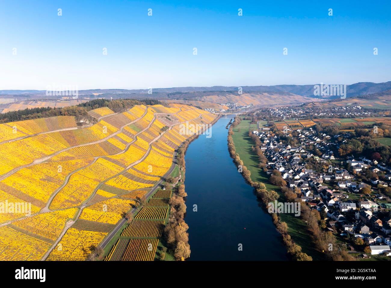 Vista aérea, viñedos en otoño, Moselle, Kesten, Bernkastel-Wittlich, Renania-Palatinado, Alemania, Europa Foto de stock