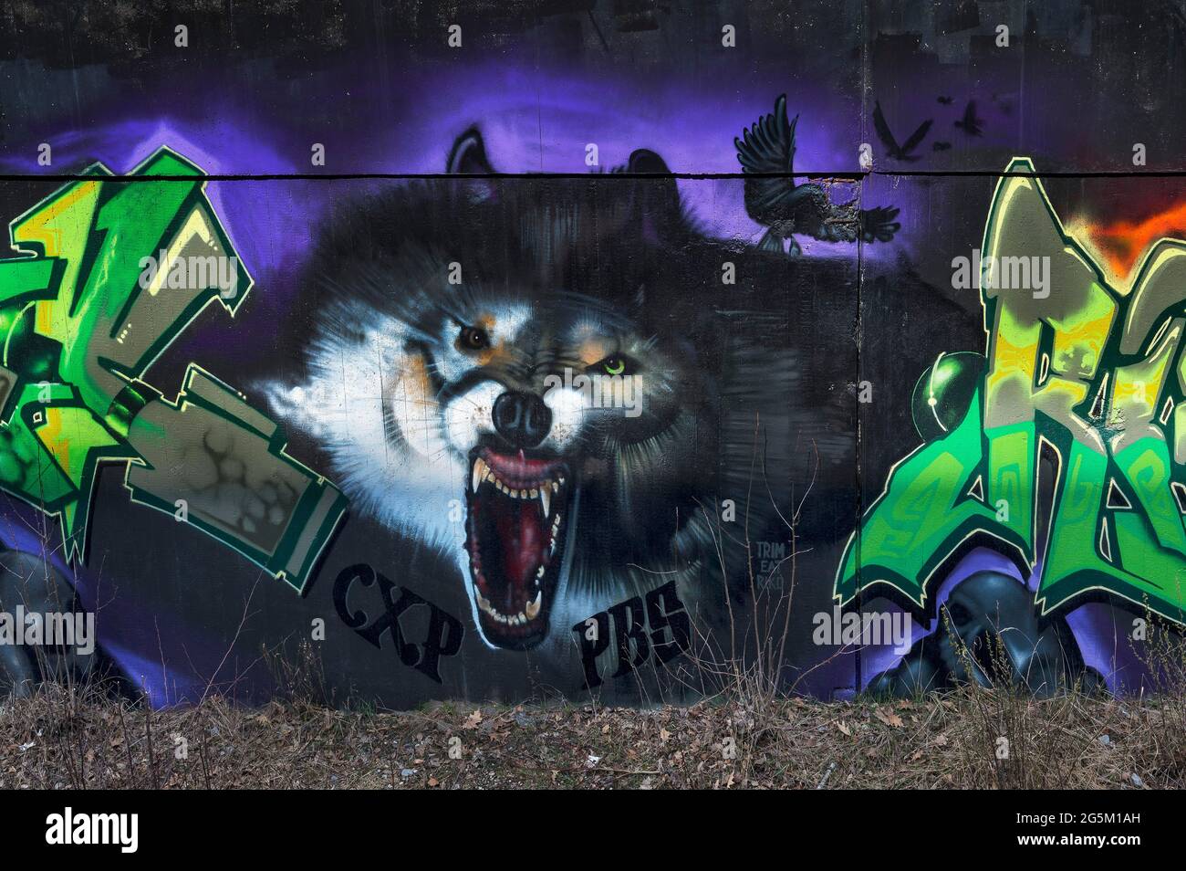 Graffiti, pata de lobo, Brudermühlstraße, Munich, Alta Baviera, Baviera,  Alemania, Europa Fotografía de stock - Alamy