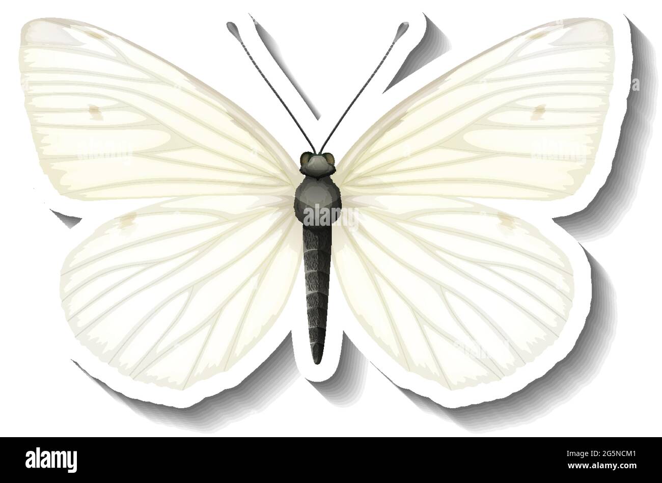 Una plantilla adhesiva con una ilustración aislada de mariposa blanca Ilustración del Vector