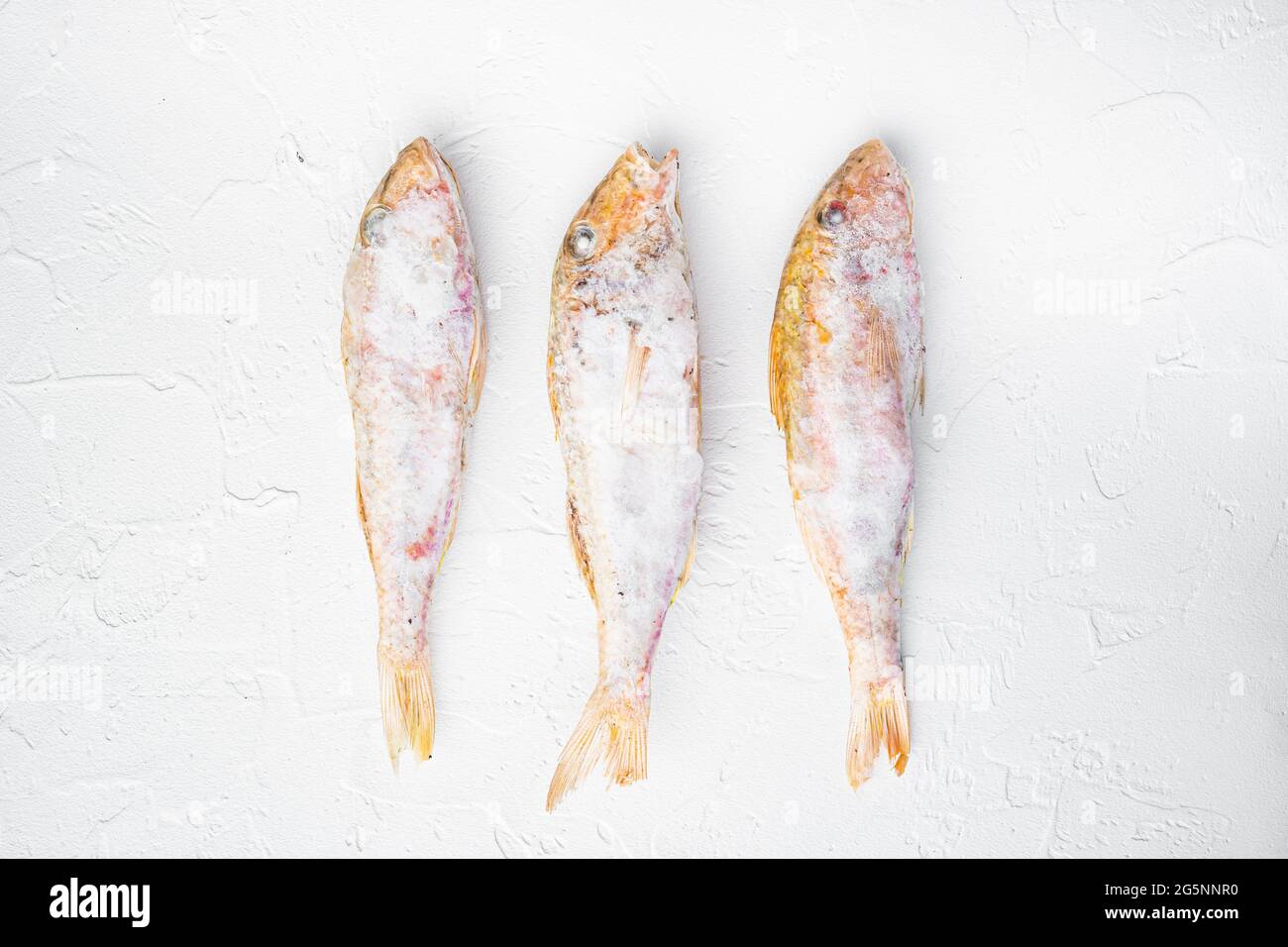 Conjunto de salmonete rojo congelado o barbulka de pescado crudo, sobre  fondo de mesa de piedra blanca, vista superior plana Fotografía de stock -  Alamy