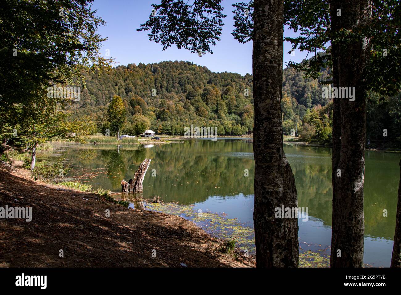 Una vista de un lago rodeado de árboles y una rica vegetación bajo el cielo despejado. Entornos naturales como este son muy comunes en Turquía. Hay Foto de stock