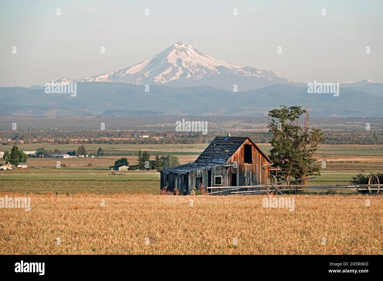 Una granja de la era de la depresión que ha sido abandonada por sus dueños, en un campo de trigo cerca de Culver, Oregon. El Monte Jefferson está en el fondo. Foto de stock