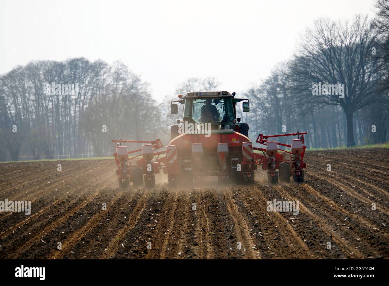 Farmer trabaja en el campo con un taladro de semillas de Einkorn de ocho hileras, Alemania, Baja Sajonia Foto de stock