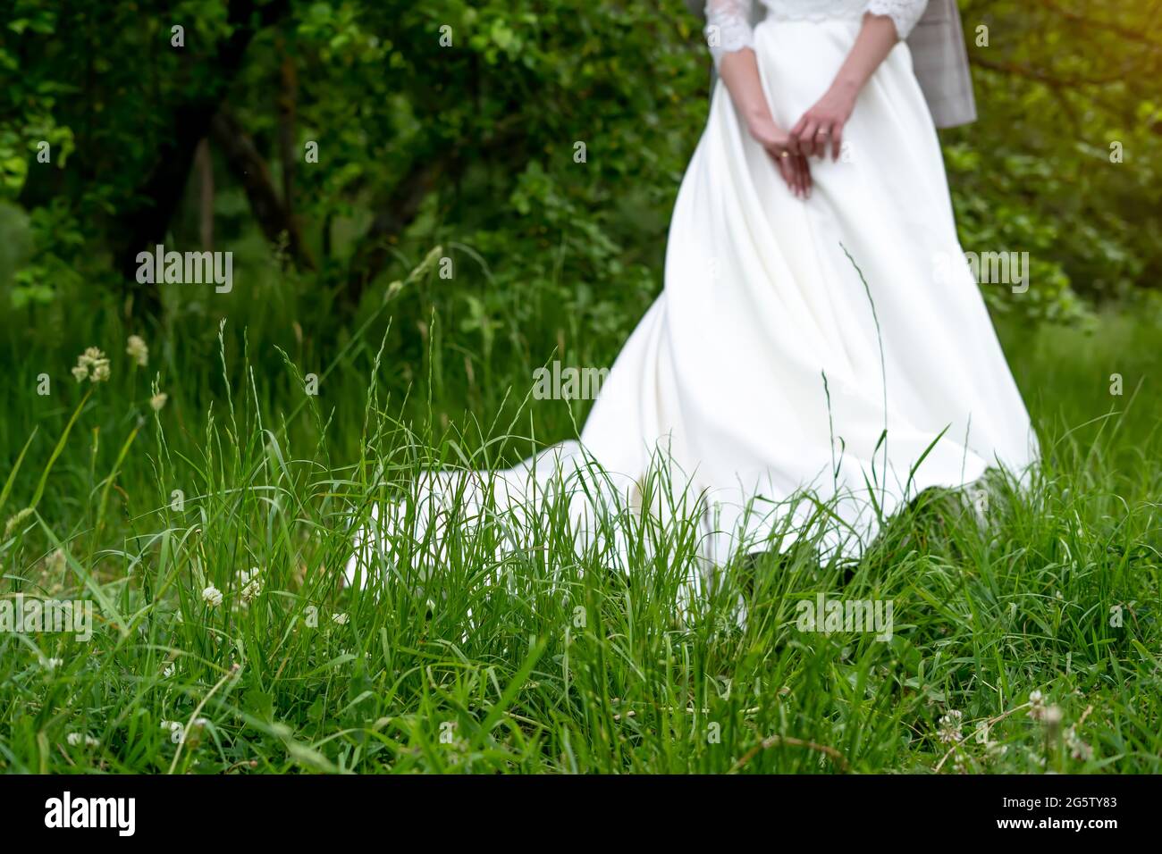 fondo de la boda, novia en un vestido blanco sobre un fondo verde  Fotografía de stock - Alamy