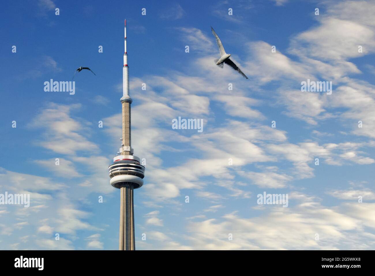 Escenas de la ciudad de Toronto, Canadá Foto de stock