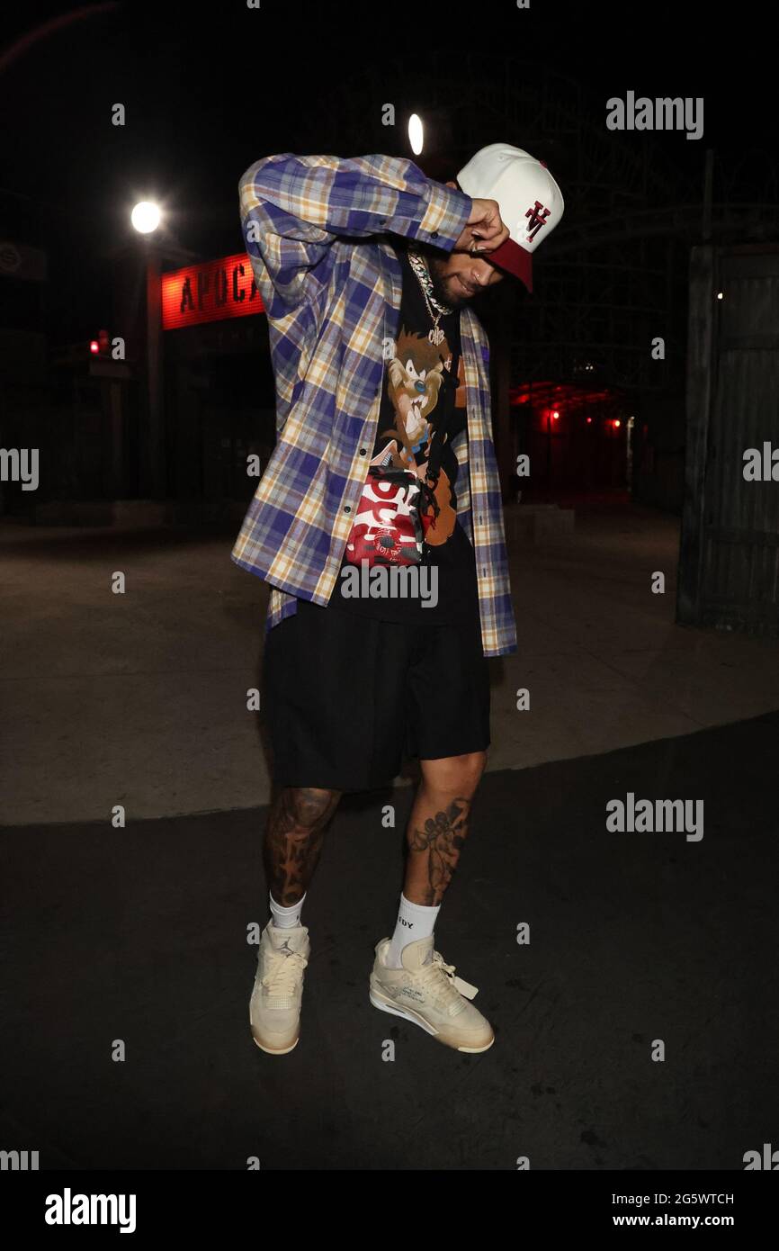 chris brown vans outfit