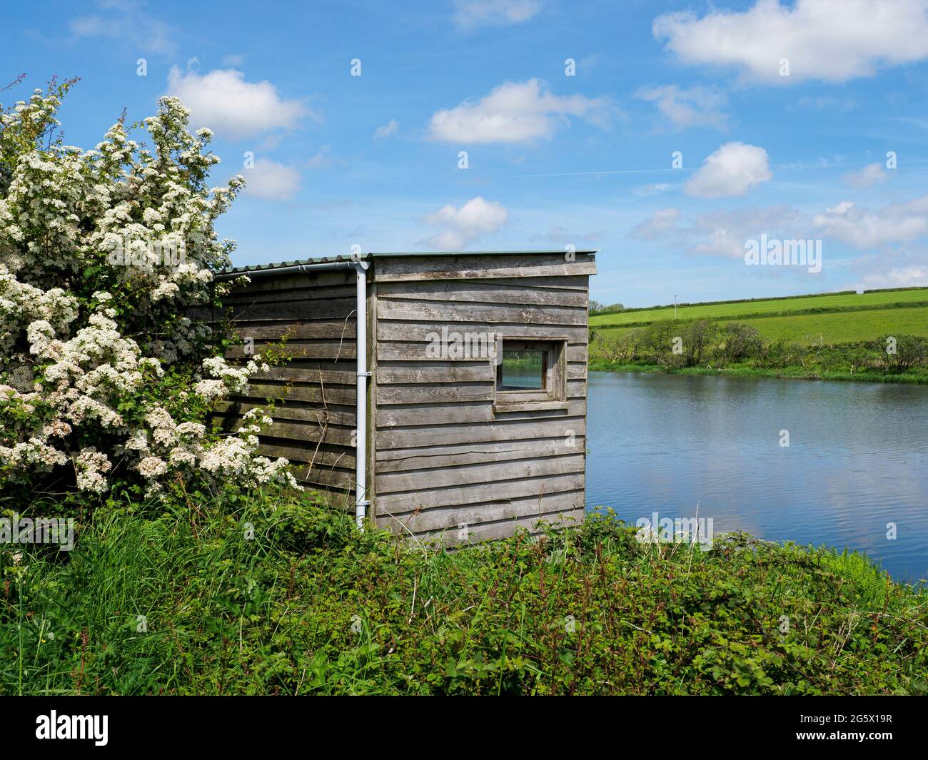 Observación de aves escondidas, Lago Upper Tamar, Devon, Reino Unido Foto de stock