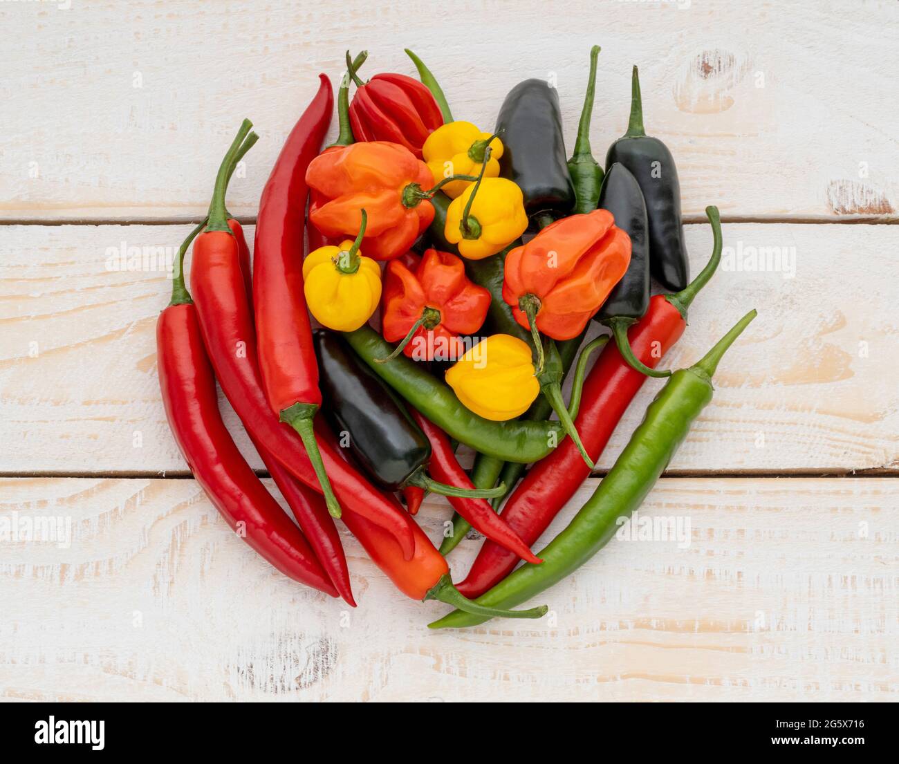 Vista de planta de chiles variados sobre un fondo blanco con paneles de madera. Foto de stock