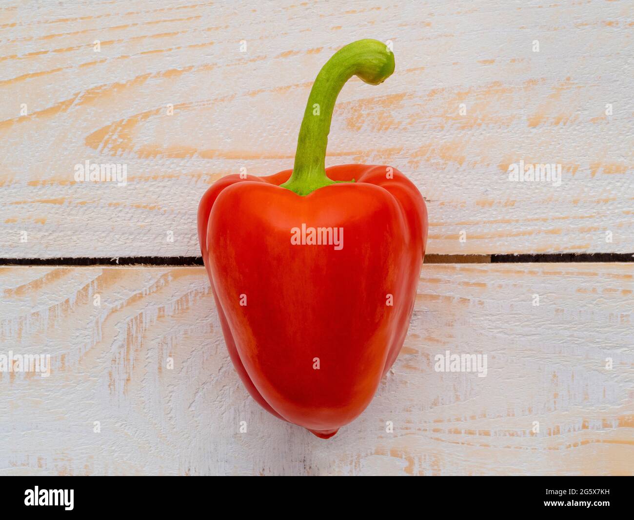 Vista de planta de un pimiento rojo sobre un fondo blanco de madera. Foto de stock