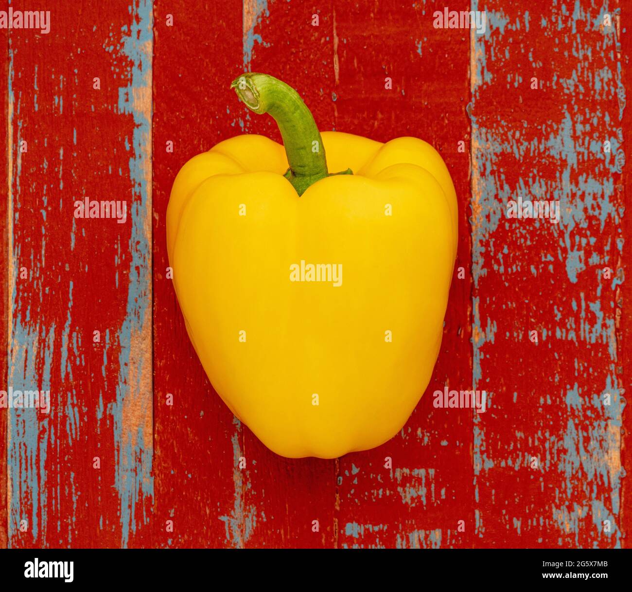 Vista de planta de un pimiento amarillo sobre un fondo rústico de madera marrón y azul. Foto de stock