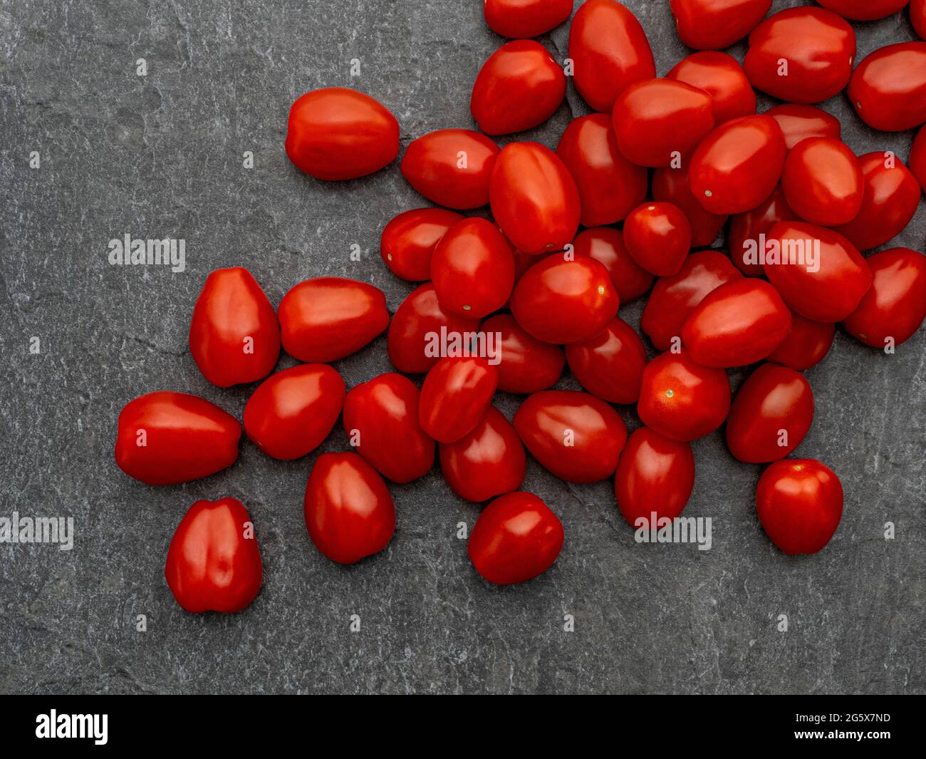 Vista en planta de tomates ciruelos pequeños sobre fondo gris texturizado Foto de stock