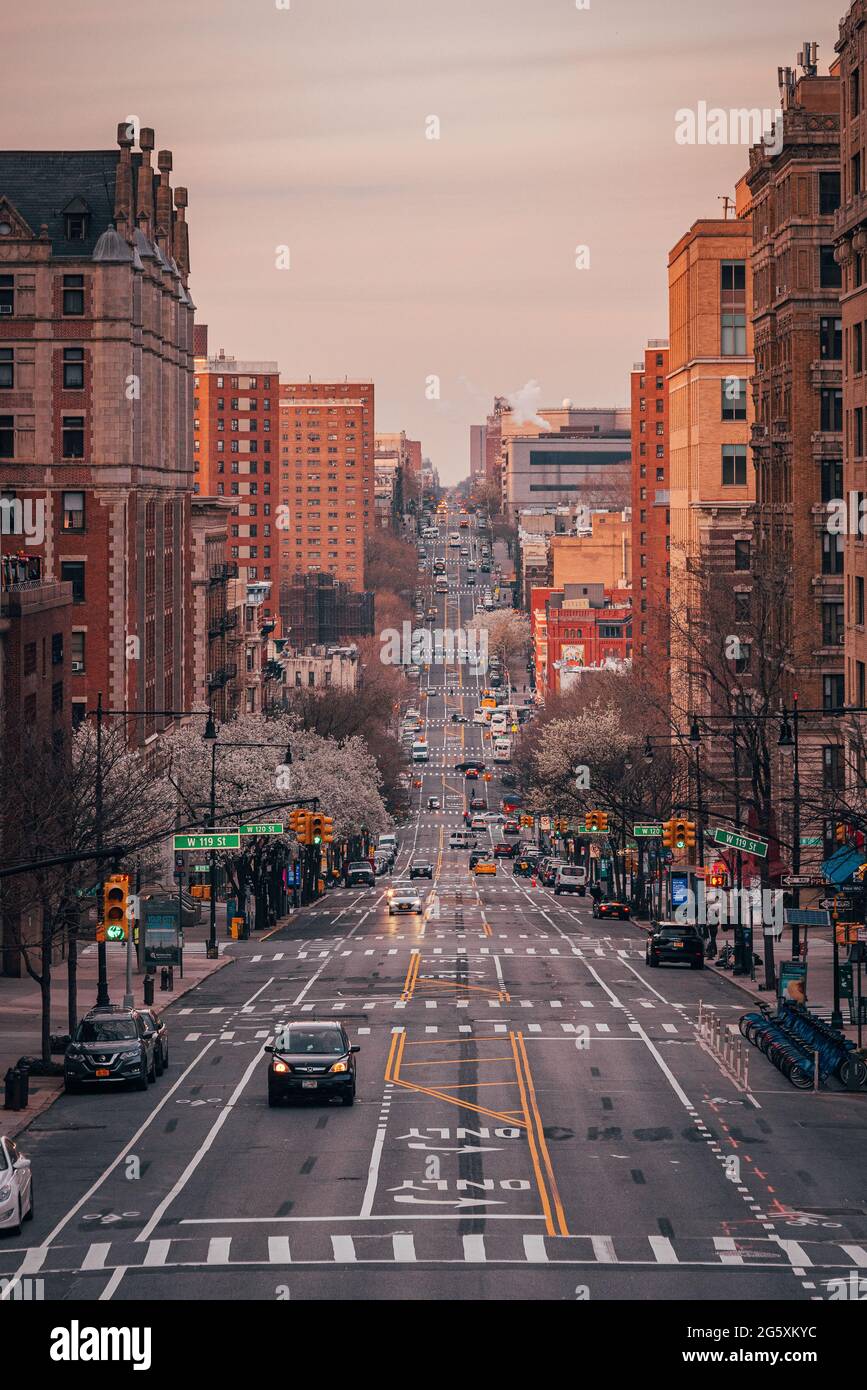 Una calle de la ciudad con edificios altos al atardecer - Amsterdam Avenue de la Universidad de Columbia, en Morningside Heights, Nueva York Foto de stock