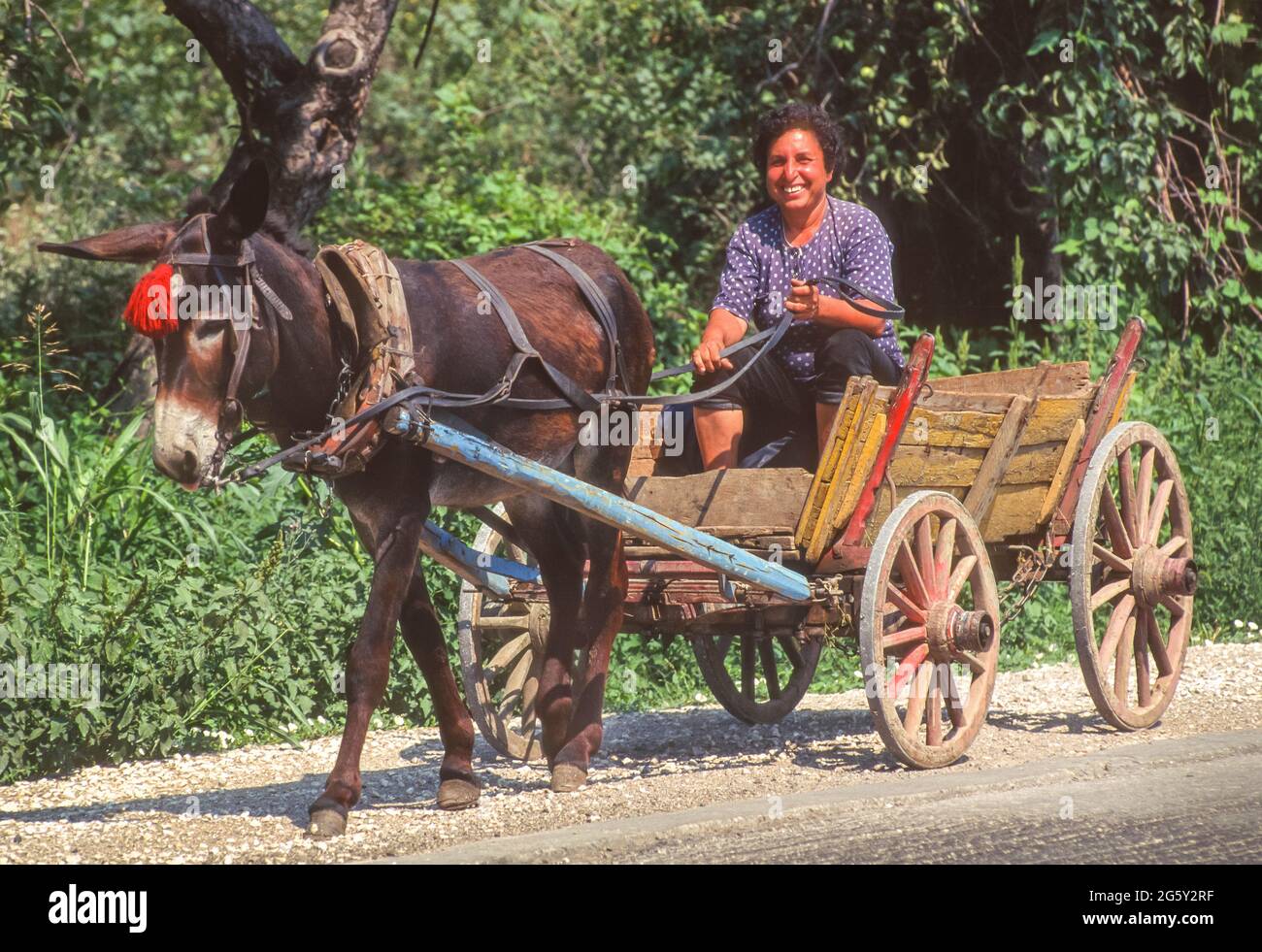 Mujer en mula fotografías e imágenes de alta resolución - Alamy