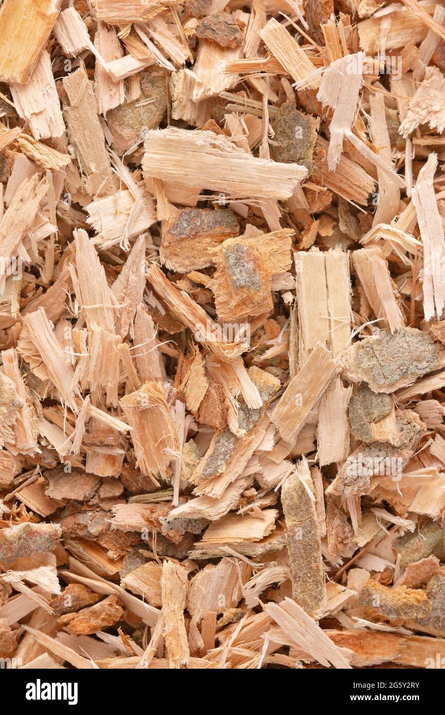 La corteza del sauce se encuentra en la naturaleza y se utiliza