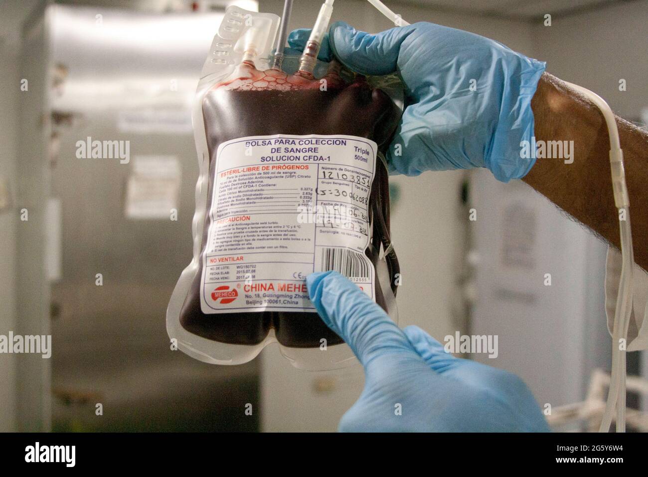 CARACAS, VENEZUELA - JUNIO 14: Un trabajador de salud sostiene una bolsa de  sangre de un donante durante el 'Día Mundial de Donantes de Sangre' en el Banco  Municipal de Sangre de