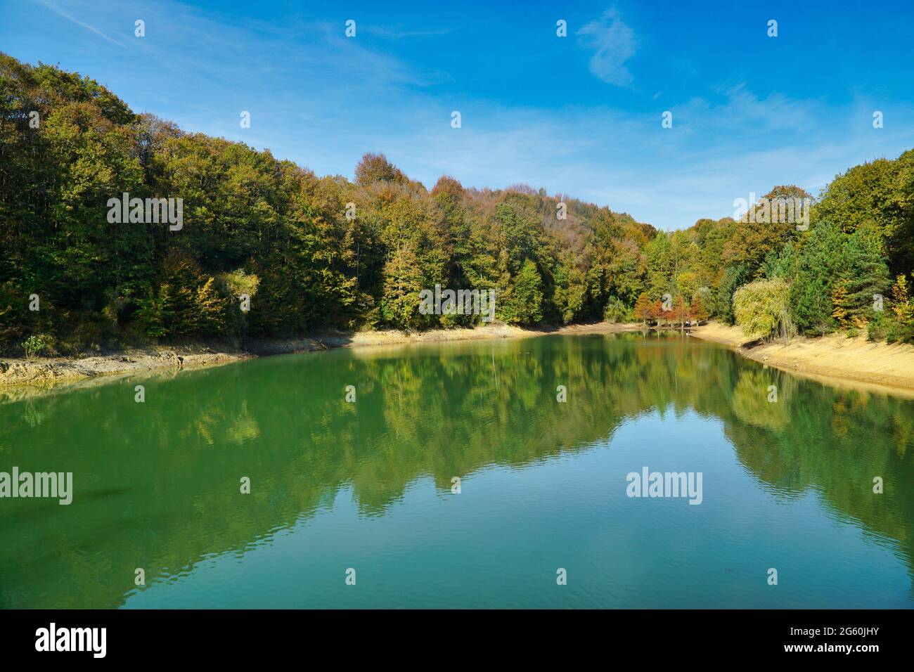 Reflejo de un lago tranquilo y prístino con vibrantes colores amarillo y verde en un exuberante bosque en el malecado de Estambul, Turquía Foto de stock