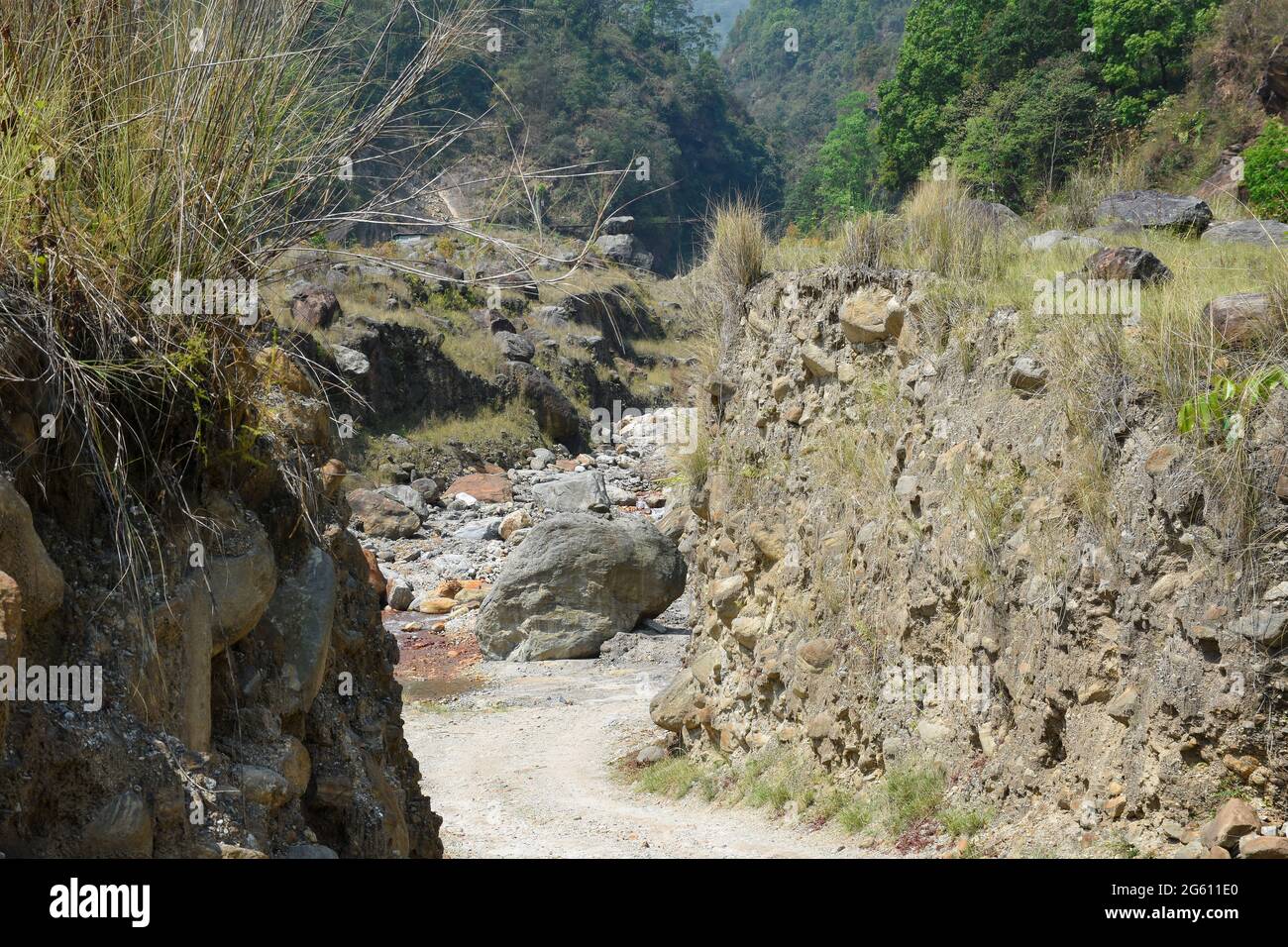 Un camino polvoriento que conduce al rivuleto del himalaya. Foto de stock