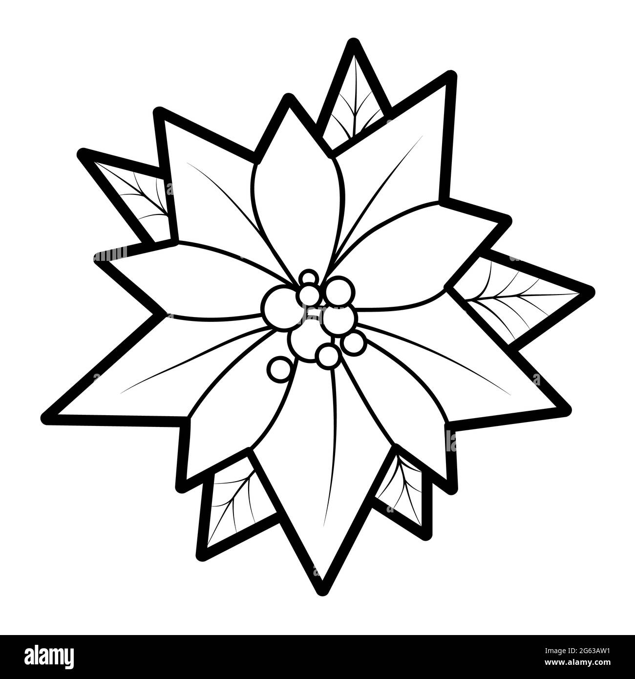 Nochebuena flor ilustraciã³n Imágenes de stock en blanco y negro - Alamy