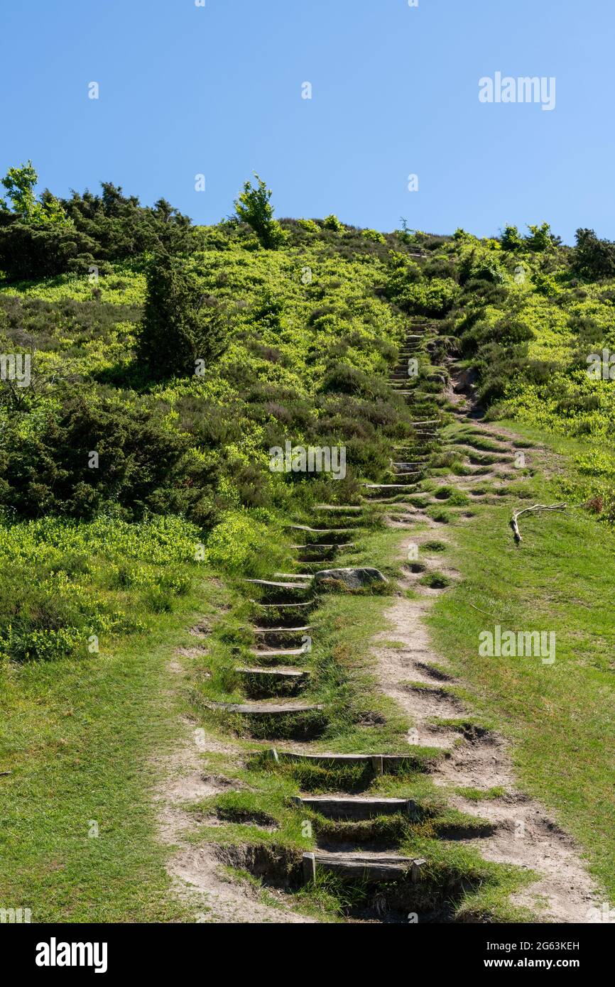 sendero de senderismo que conduce con escalones de madera hasta la cima de una colina en la campiña de brezales Foto de stock