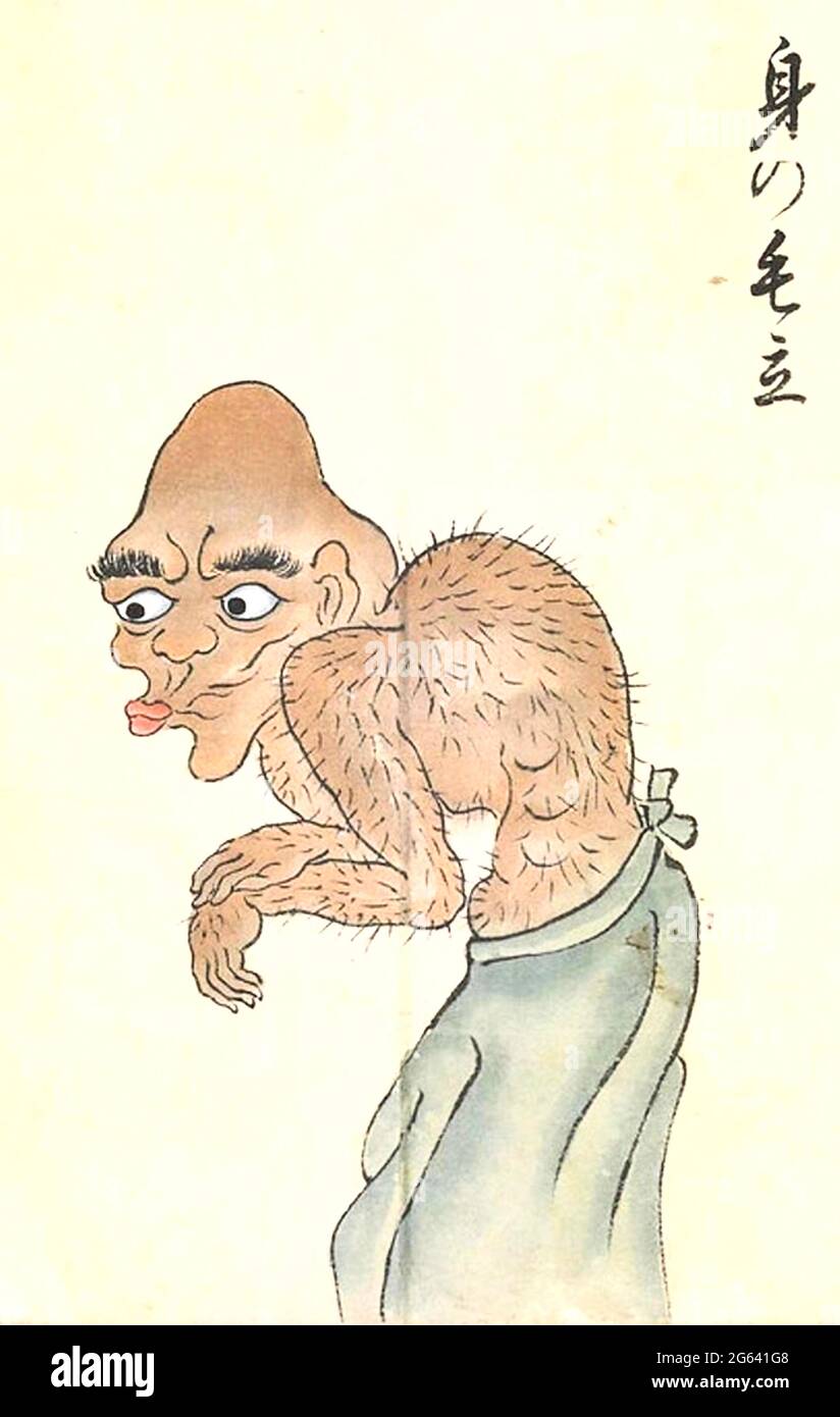 Bakemono Zukushi - Mi-no-kedachi (身の毛立) tiene una capa de pelo corporal que se levanta al final Foto de stock