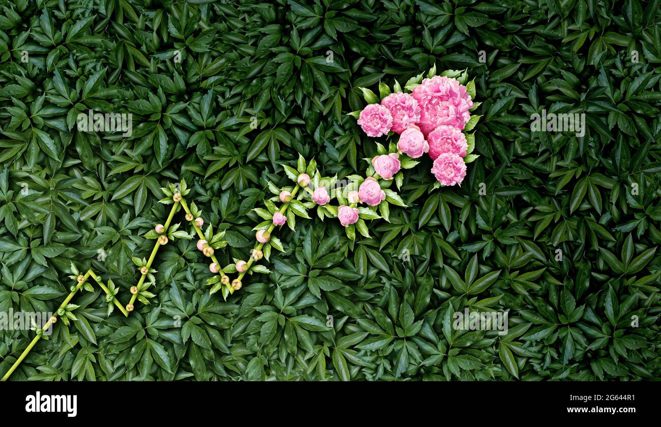 Concepto creciente del negocio del gráfico y crecimiento financiero o desarrollo positivo de la ganancia como una flecha ascendente hecha de plantas y flores que florecen que representan Foto de stock