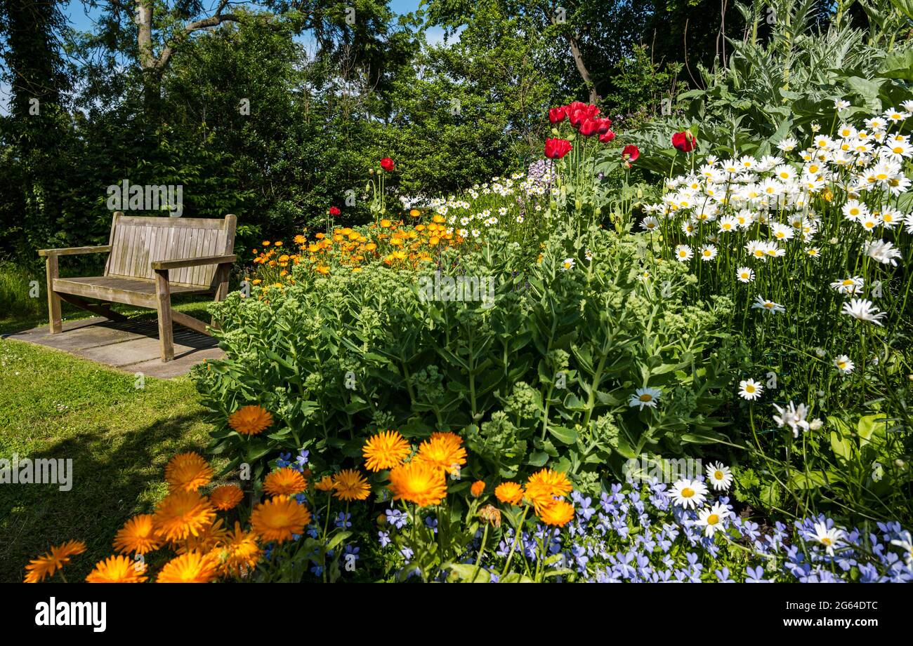 East Lothian, Escocia, Reino Unido, 2nd de julio de 2021. Esquema de Jardín de Escocia NUEVO ABRIENO DE JARDÍN: Shane Corstorphine, ex director financiero de Skyscanner y un jardinero entusiasta, ha pasado 4 años preparando los jardines de Camptoun House para abrir por primera vez para recaudar dinero para la caridad. En la foto: Un florido con flores coloridas cultivadas especialmente para abejas melíferas Foto de stock