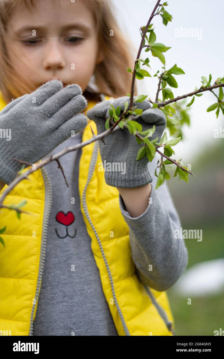 Enfoque selectivo de manos de niños en guantes grises sostener rama de  árbol fresco. La niña ayuda a cultivar un huerto en el patio trasero. Niño  usando ropa de color moderno Fotografía