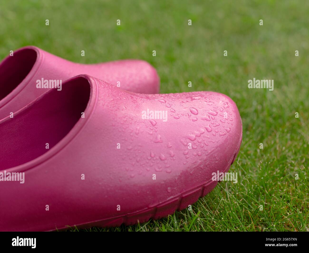 Botas de goma rosa Zapatos sobre hierba verde, calzado polimérico  impermeable. Jardinería en zapatos de lluvia, botas de agua Fotografía de  stock - Alamy