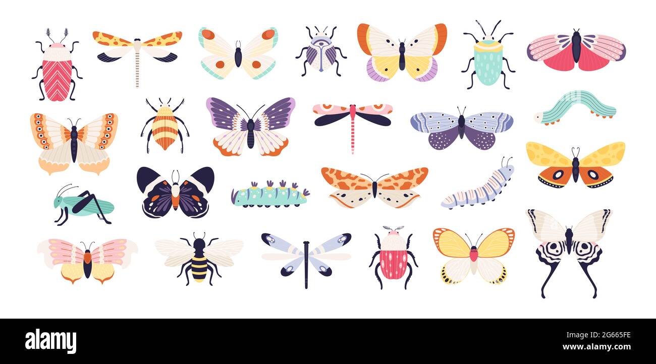 Insectos decorativos. Escarabajos de fideos, mariposas, libélulas, abeja,  oruga y saltamontes. Serie de insectos y gusanos de primavera vintage,  vector plano Imagen Vector de stock - Alamy
