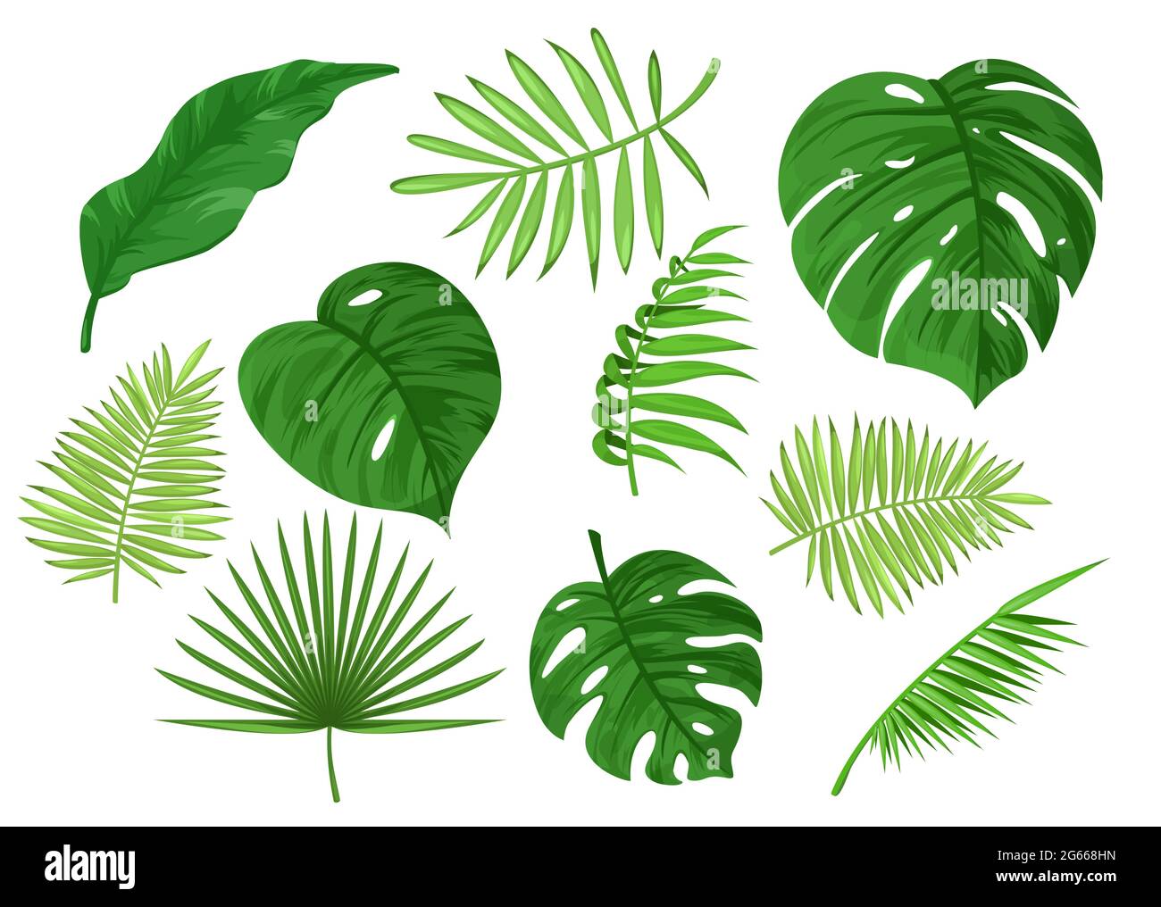 Tropical tallado y verde sólido aparte hojas de dibujos animados vector ilustración conjunto Ilustración del Vector