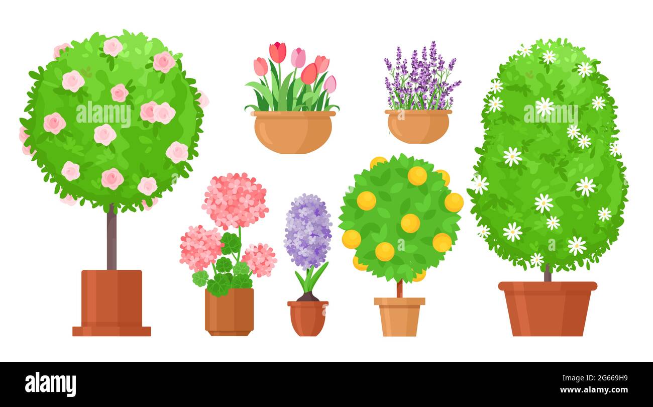 Flores de jardín en macetas planas vectores ilustraciones conjunto Imagen  Vector de stock - Alamy