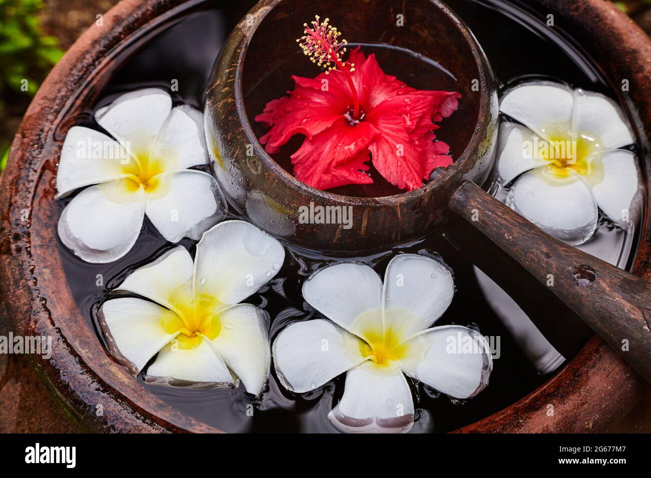 Vasija de cerámica llenos de agua con una cuchara de madera y flores. Foto de stock