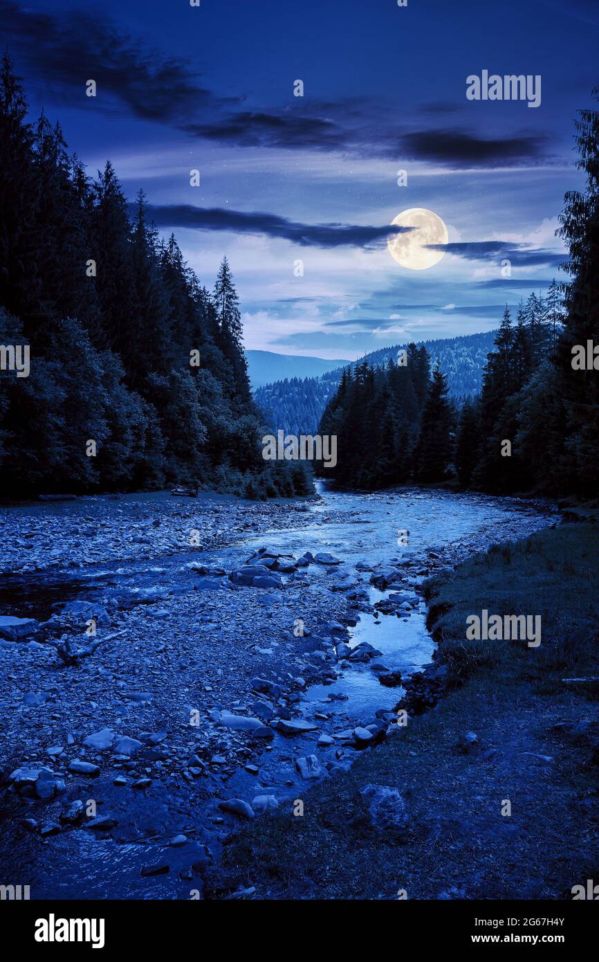 el río de montaña corre a través de un valle boscoso. paisaje campestre en una noche de verano. árboles y piedras en la orilla a plena luz de la luna Foto de stock