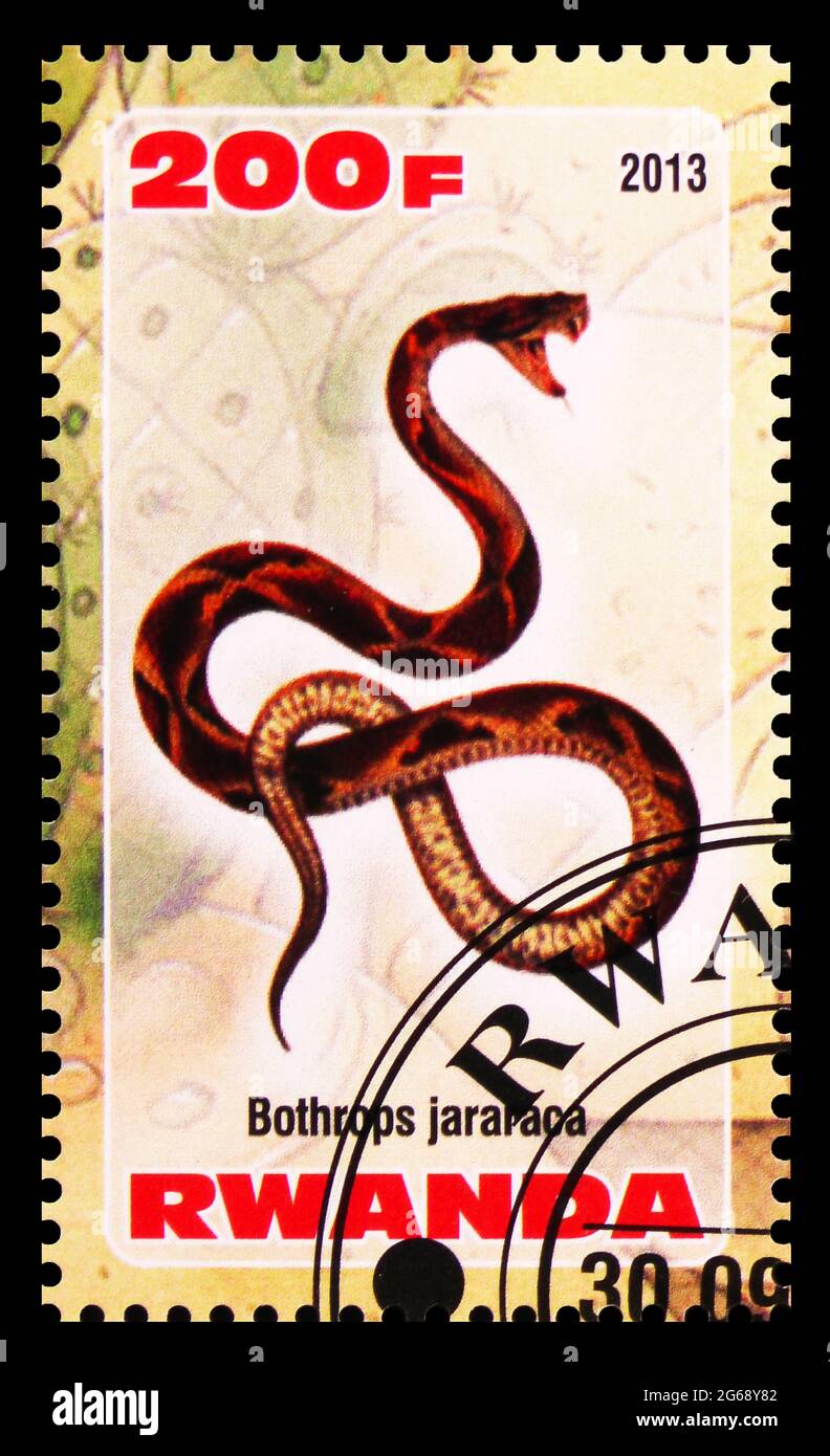 MOSCÚ, RUSIA - 28 DE MARZO de 2020: Sello postal impreso en Ruanda muestra Bothrops jararaca, serie Snakes, alrededor de 2013 Foto de stock