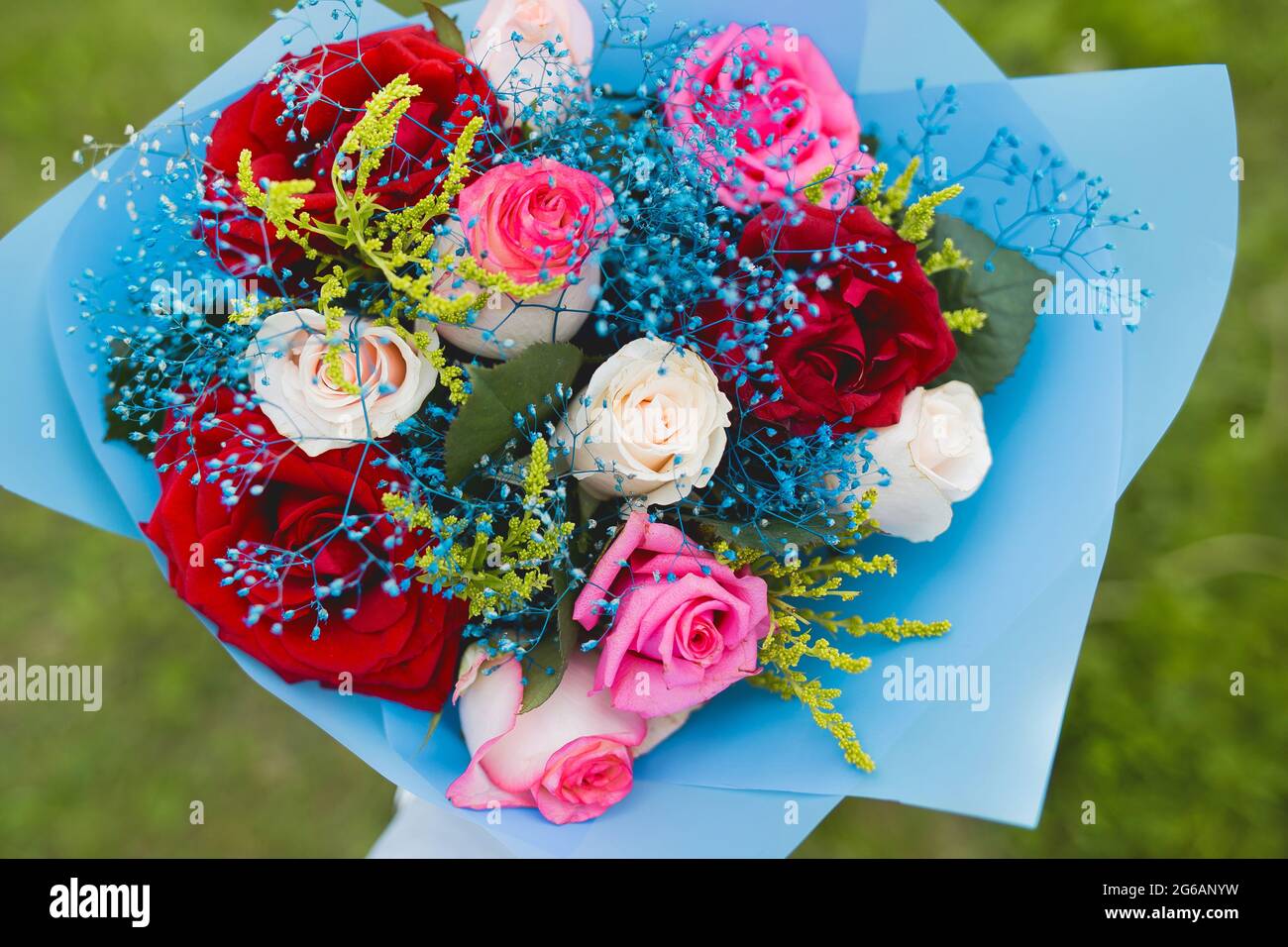 Ramo decorativo de boda de la novia de flores de rosas rojas, blancas y  rosadas en papel azul, vista desde arriba Fotografía de stock - Alamy