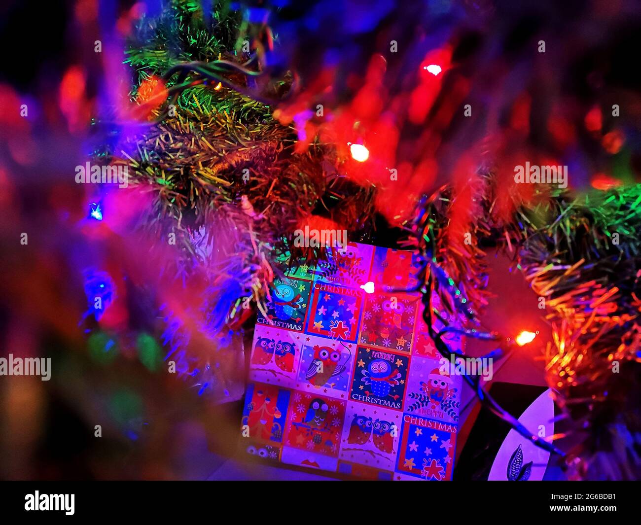 Primer plano de luces de hadas multicolor y regalos bajo un árbol de Navidad Foto de stock