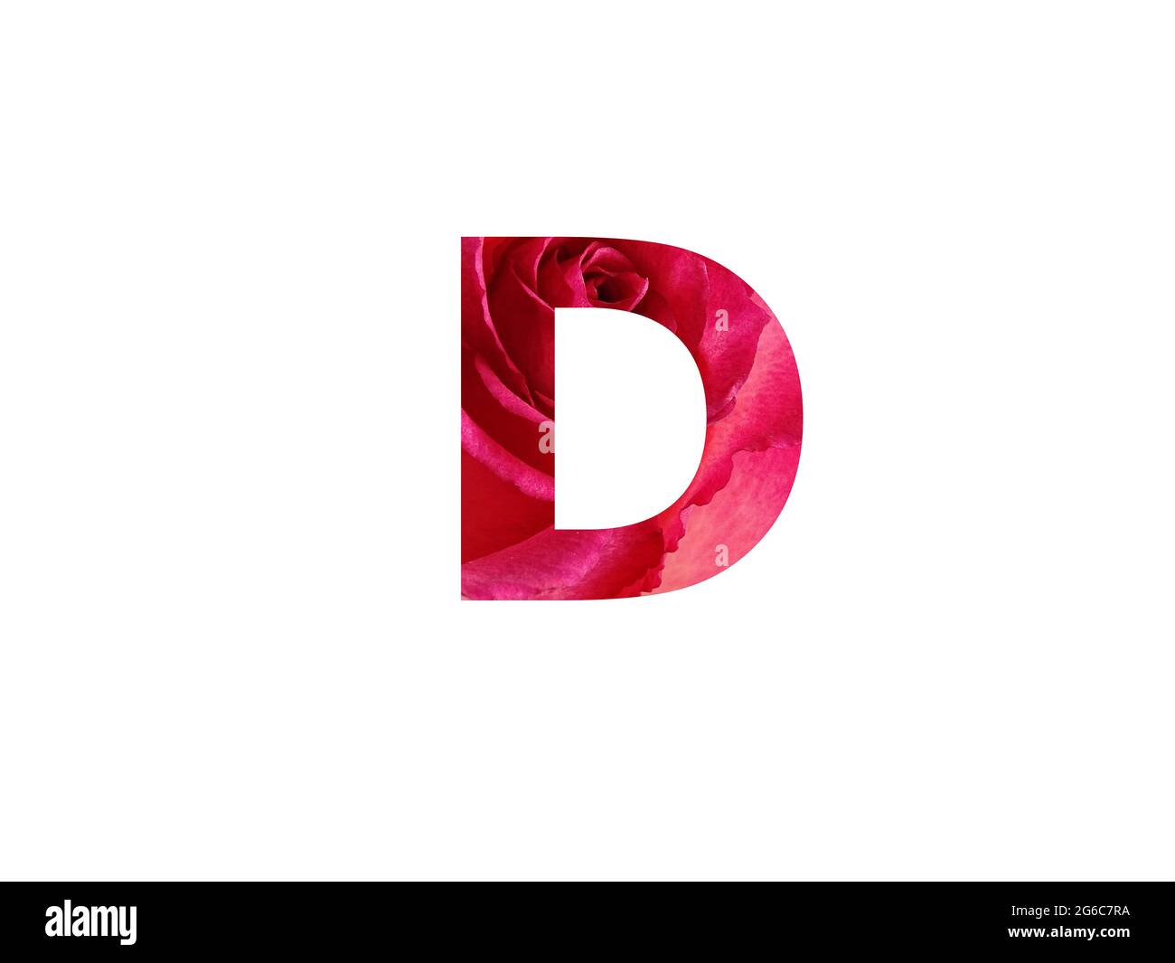 Letra D del alfabeto hecha con una foto de una rosa roja, aislada sobre un fondo blanco Foto de stock