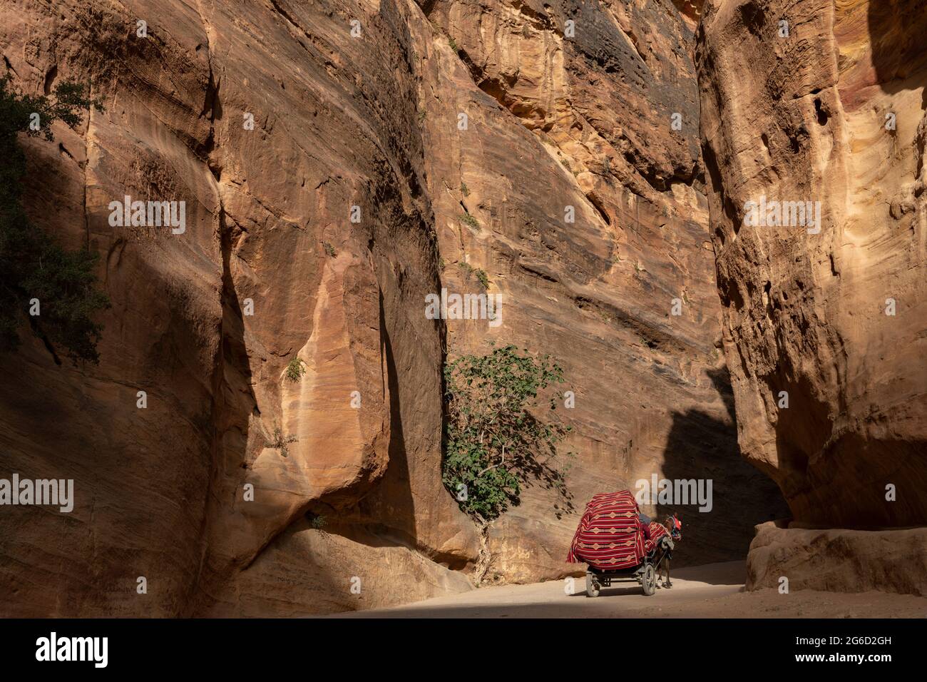 Carruaje tirado por caballos pasando el Siq, Petra. Jordania Foto de stock
