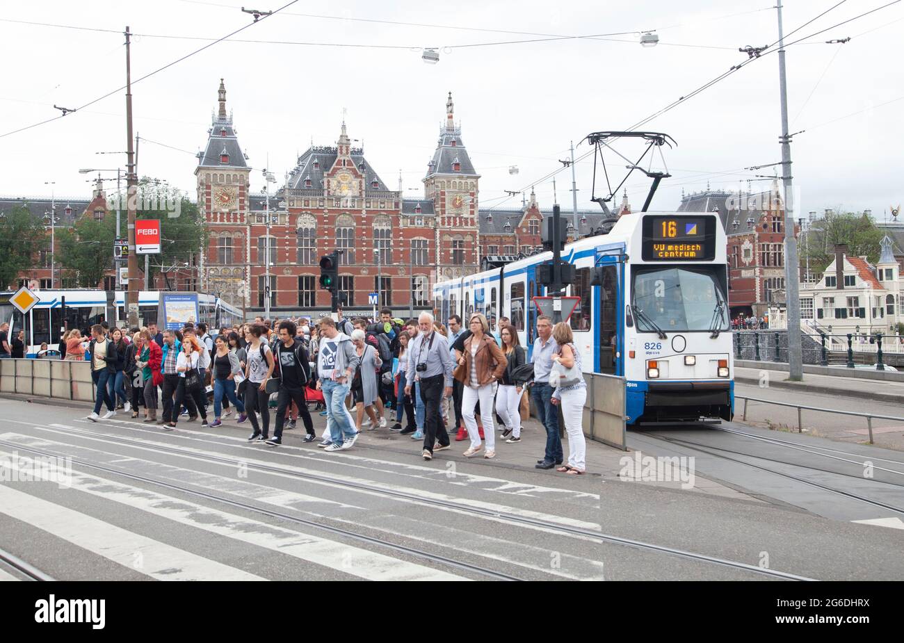 Tranvías urbanos en la ciudad de Amsterdam Foto de stock