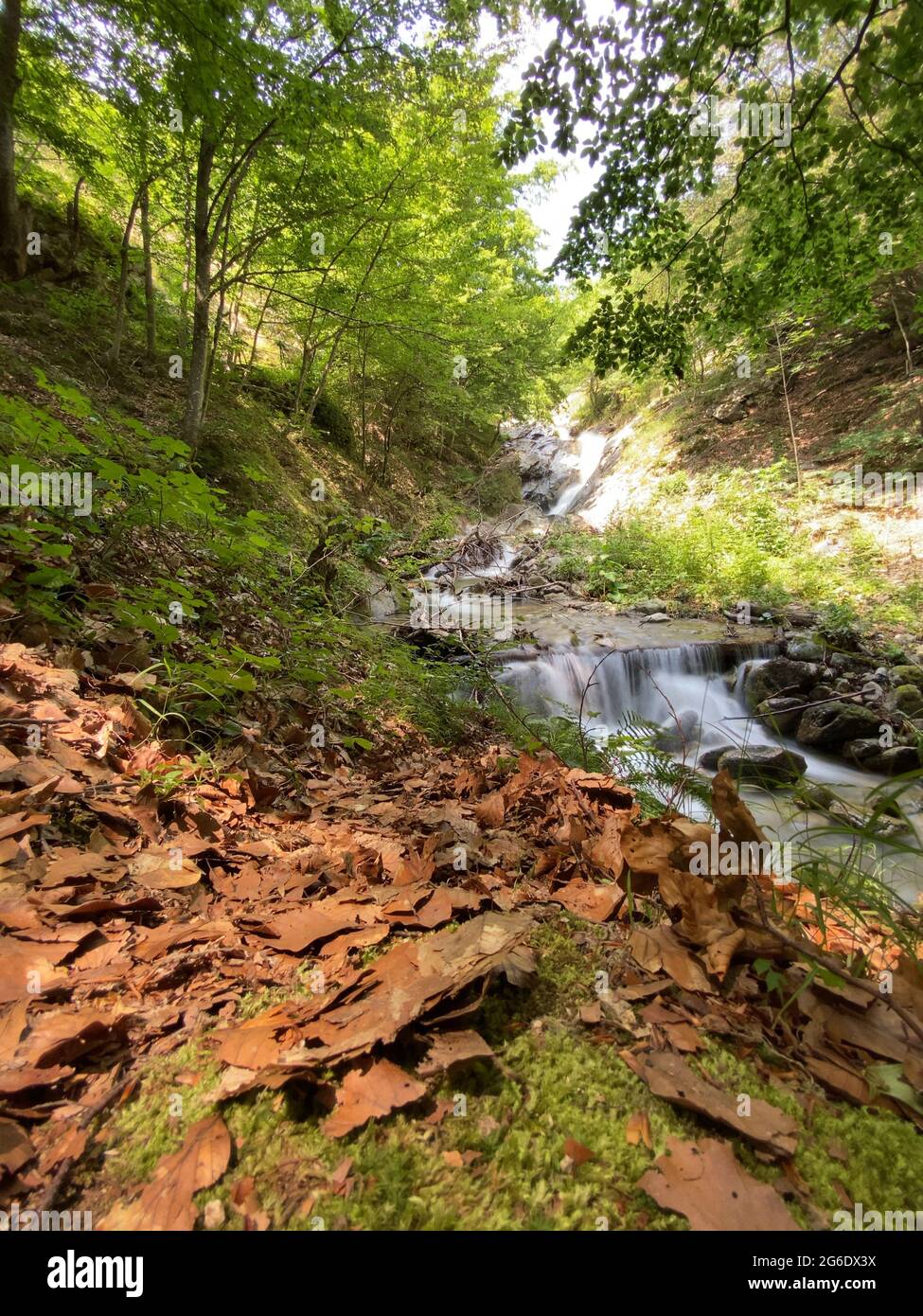 Larga exposición Agua fluida sobre rocas en el bosque Foto de stock