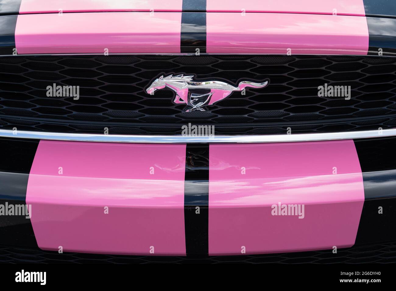 Eureka Springs, AR - 11 de junio de 2021: Ford Mustang corriendo el emblema de pony está en la rejilla de un coche negro con amplias rayas rosadas. Foto de stock