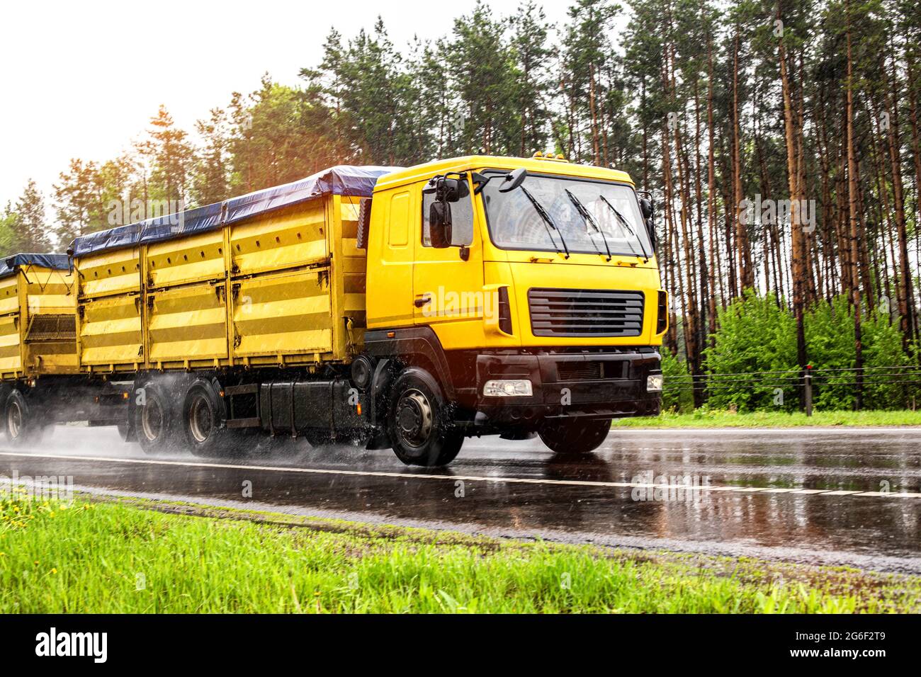 Camión de grano amarillo moderno que transporta grano en clima lluvioso en la carretera, en el fondo. Carretera resbaladiza, agroindustria Foto de stock