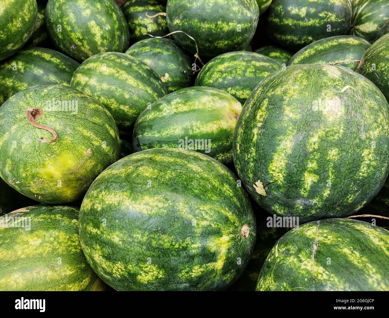 Pasillo de vitaminas fotografías e imágenes de alta resolución Alamy